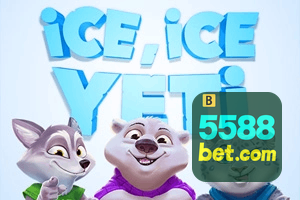5588 BET feedback — formulário de envio no aplicativo oficial